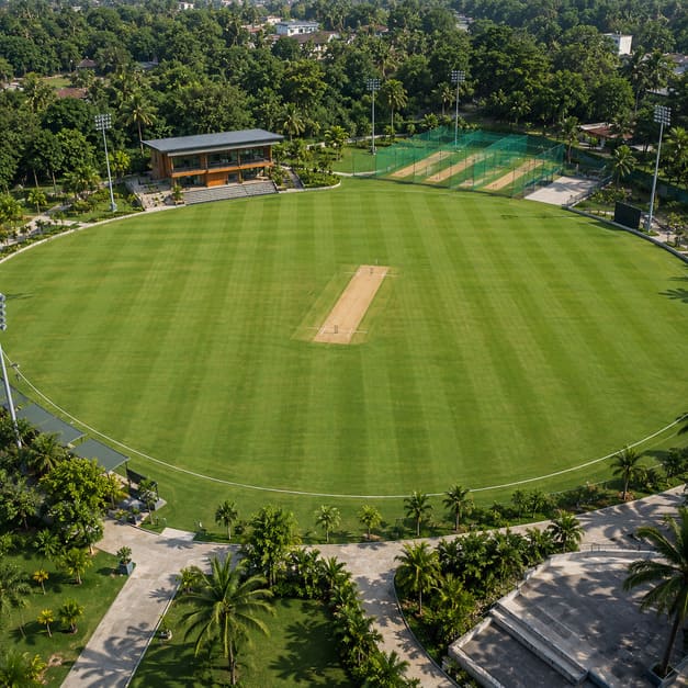 Cricket Turf