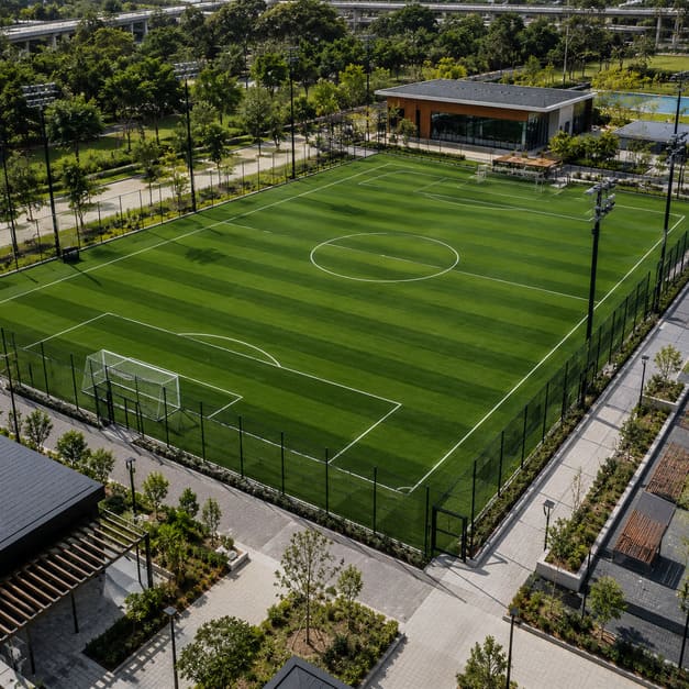 Football Turf